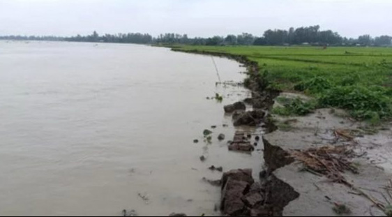 সিরাজগঞ্জে যমুনার ভাঙনে ৫ শতাধিক বাড়ি নদীগর্ভে বিলীন